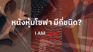 หนังหุ้มโซฟา มีกี่ชนิด
