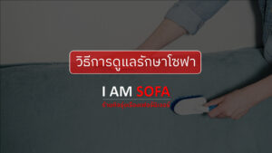 วิธีการดูแลรักษาโซฟา